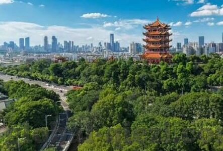 大象传媒18勿进大-大象传媒的边界与责任——勿越雷池一步