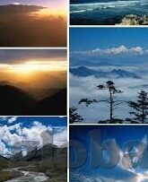 大象传媒官方下载地址-探索大象传媒官方下载的便捷之道