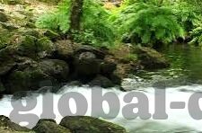 大象传媒回家地址-回归自然，大象传媒的回家之旅