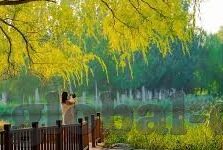 国产精品高清一区二区不卡-国产影视精品，高清一区二区流畅体验