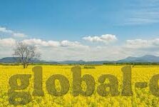 果冻传媒在线国产-探索果冻传媒在线国产，文化与创意的交融