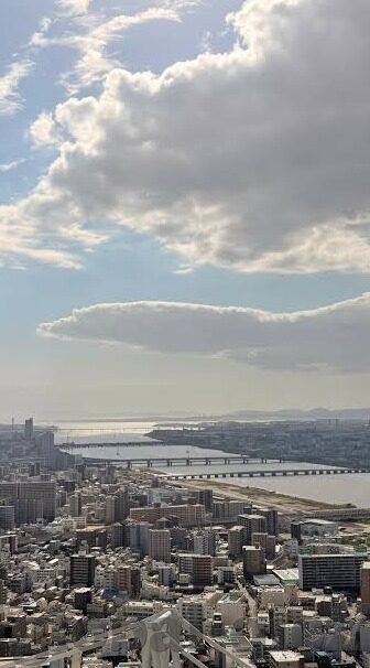 麻豆视频免费在线-探索网络世界的多元姿态，麻豆视频，免费在线观影的乐趣与思考