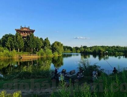 麻豆文化传媒免费网址-麻豆文化传媒——探索数字时代的艺术与娱乐新领域