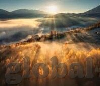 人妻无码av-家庭与个人界限的微妙平衡，人妻角色在当代社会的多元解读