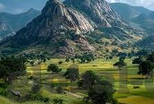 日韩AV无码免费播放-日韩AV无码内容观影指南，解锁文化差异下的视觉体验