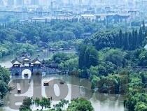 糖心app软件怎么下载-糖心App下载，从好奇到探索的旅程