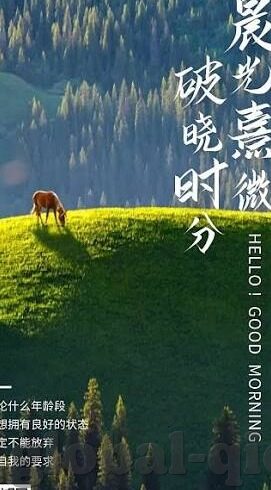 无码国内精品久久人妻-探索国内无码精品的独特魅力，久久人妻的细腻情感与文化共鸣