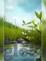 在线伦理片-探索在线伦理片的多元视角与边界